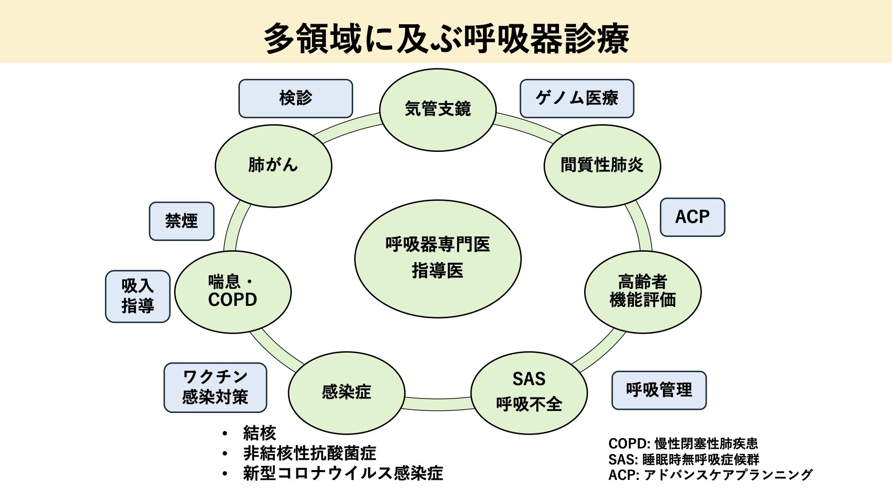 多領域に及ぶ呼吸器診療