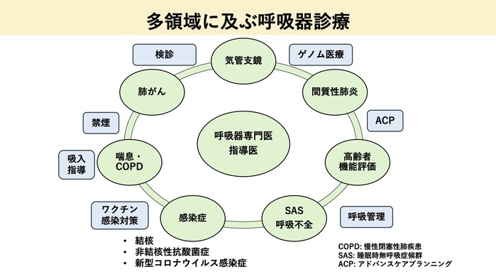 多領域に及ぶ呼吸器診療